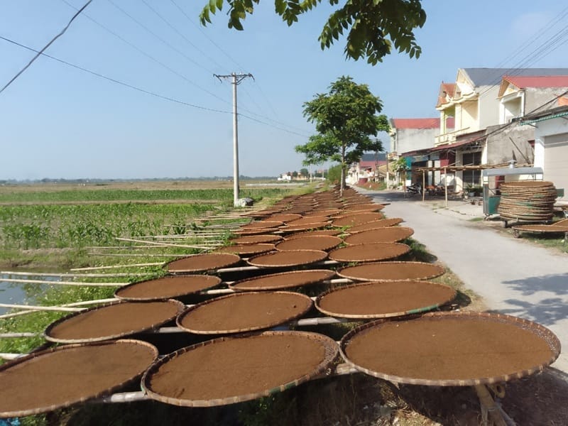 Hút thuốc lào không bị say